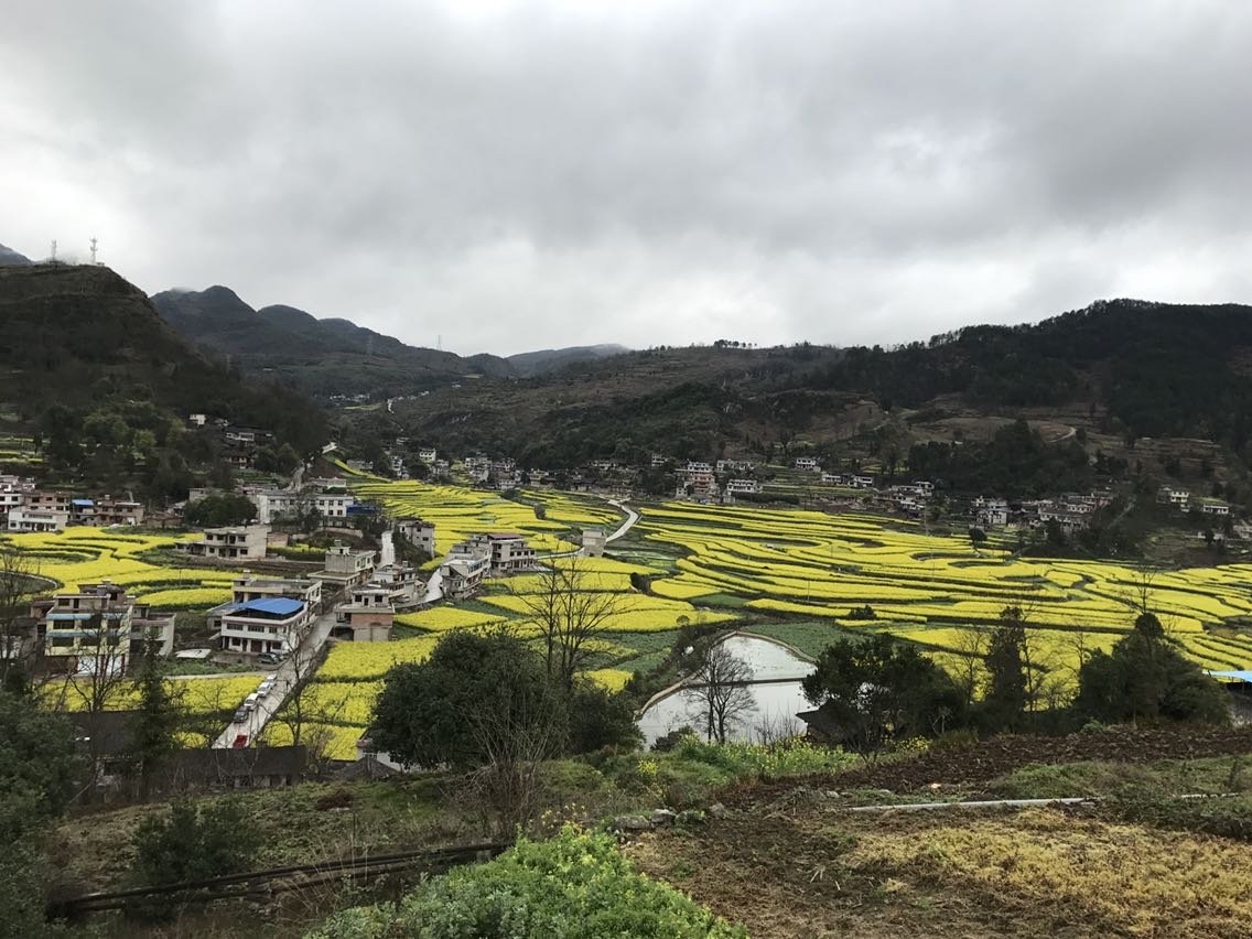 福泉村委会天气预报更新通知