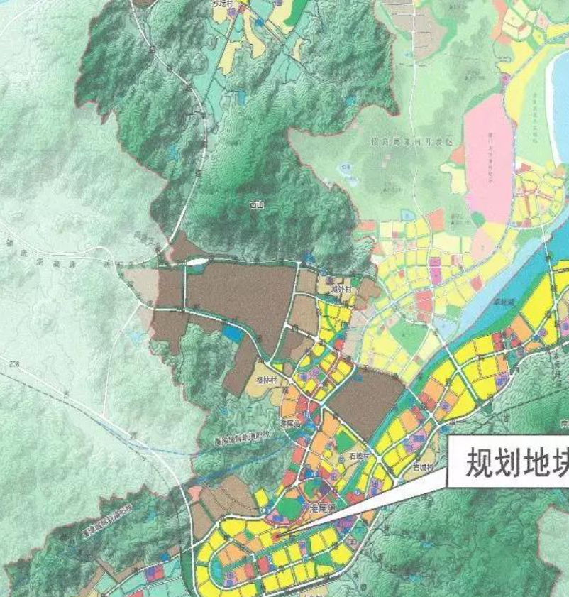 2024年12月11日 第10页