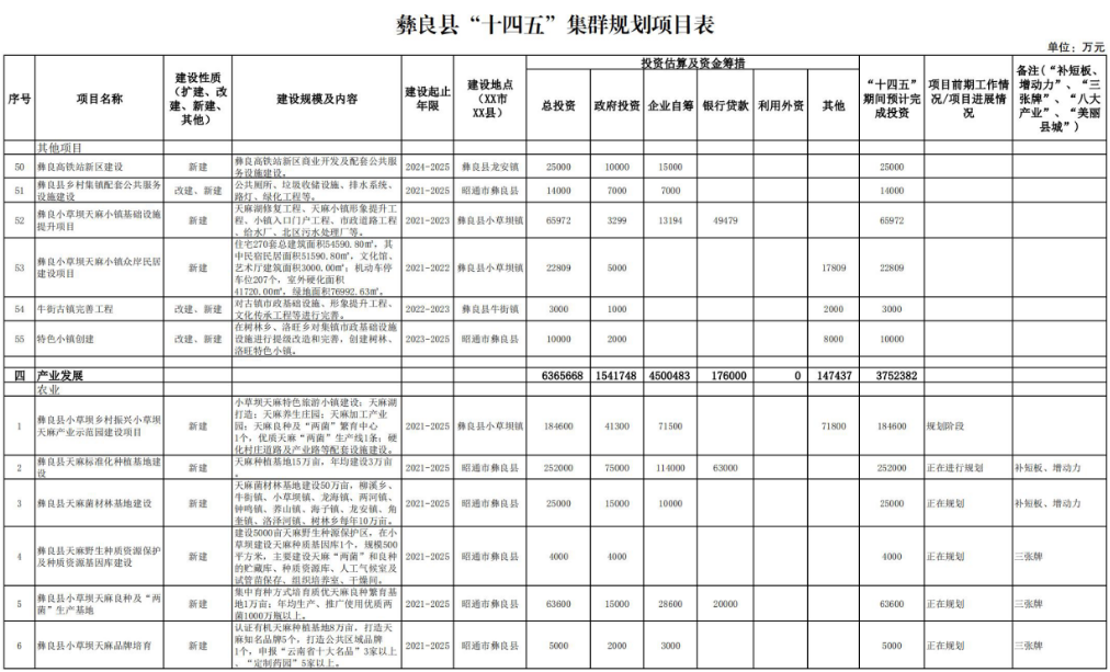 彝良县审计局未来发展规划展望