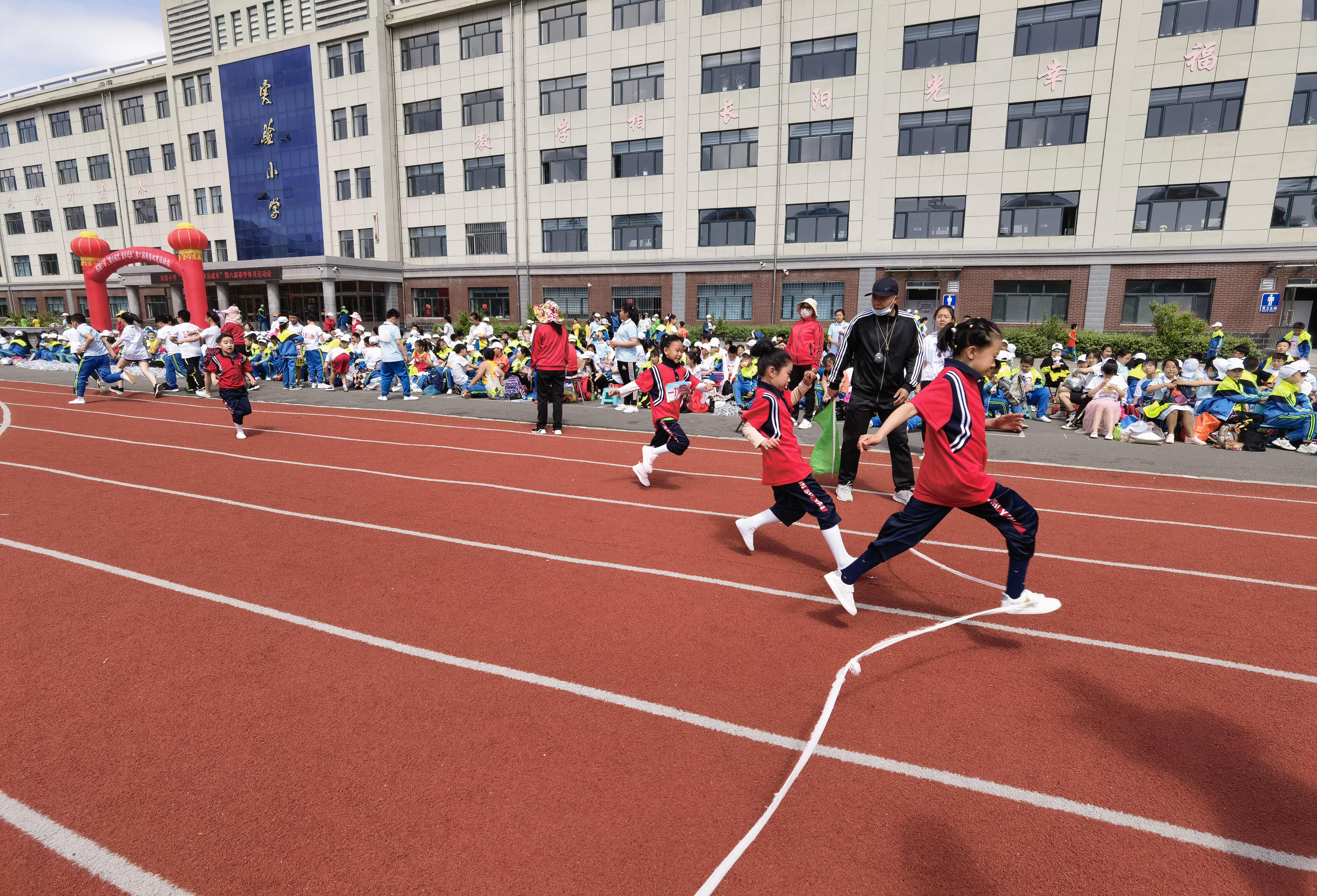 海伦市小学最新招聘公告概览