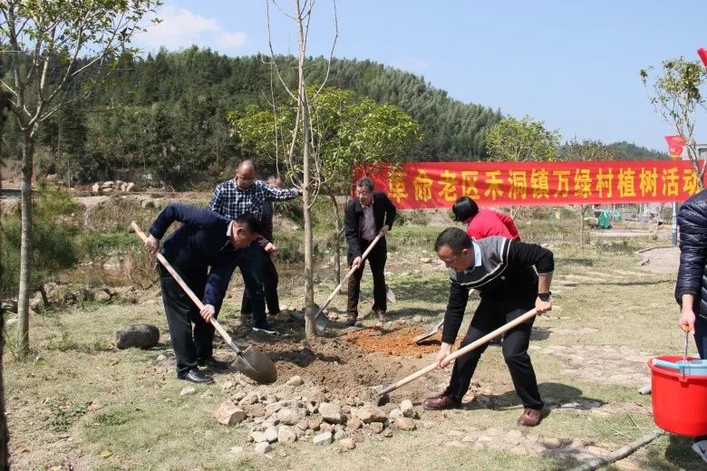 禾洞镇最新领导团队，引领未来，铸就辉煌