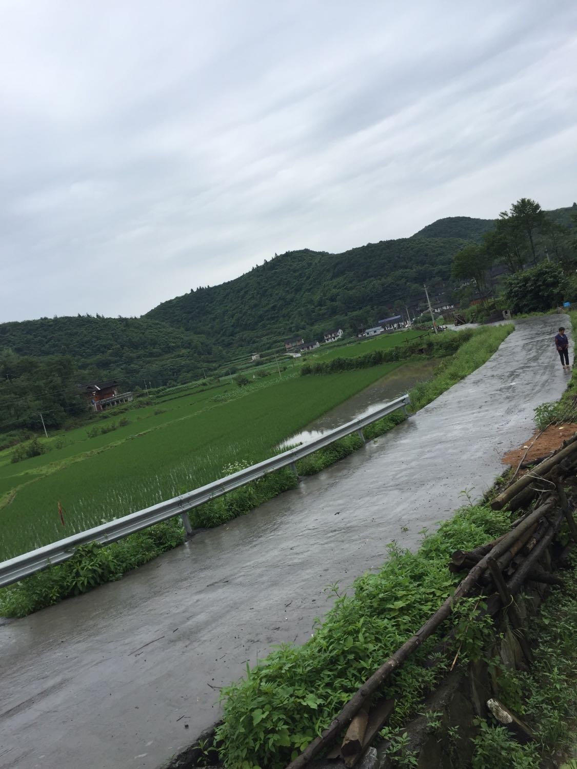 华川村民委员会天气预报更新通知