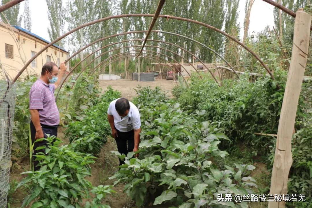 若羌县自然资源和规划局最新发展规划展望