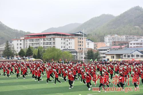 栾川县体育馆最新领导团队，引领未来，铸就辉煌