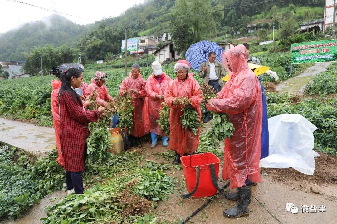 盐津县特殊教育事业单位发展规划构想与实施策略