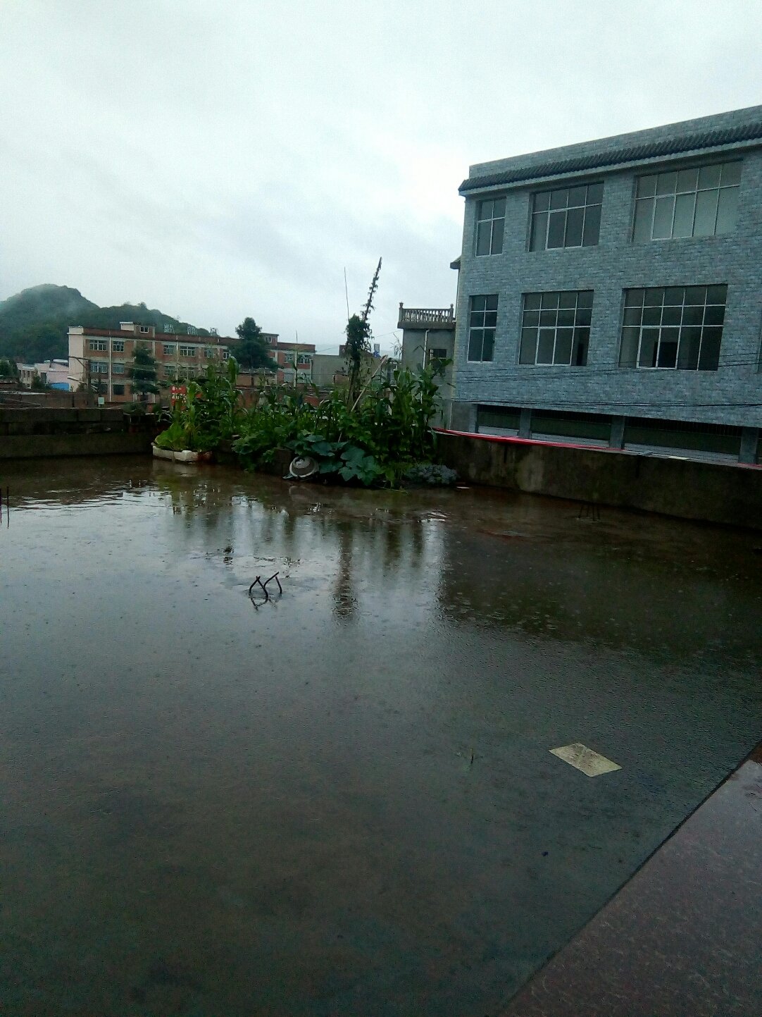 葵山镇最新天气预报