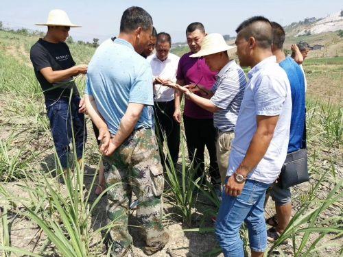 景谷傣族彝族自治县民政局最新招聘信息概览