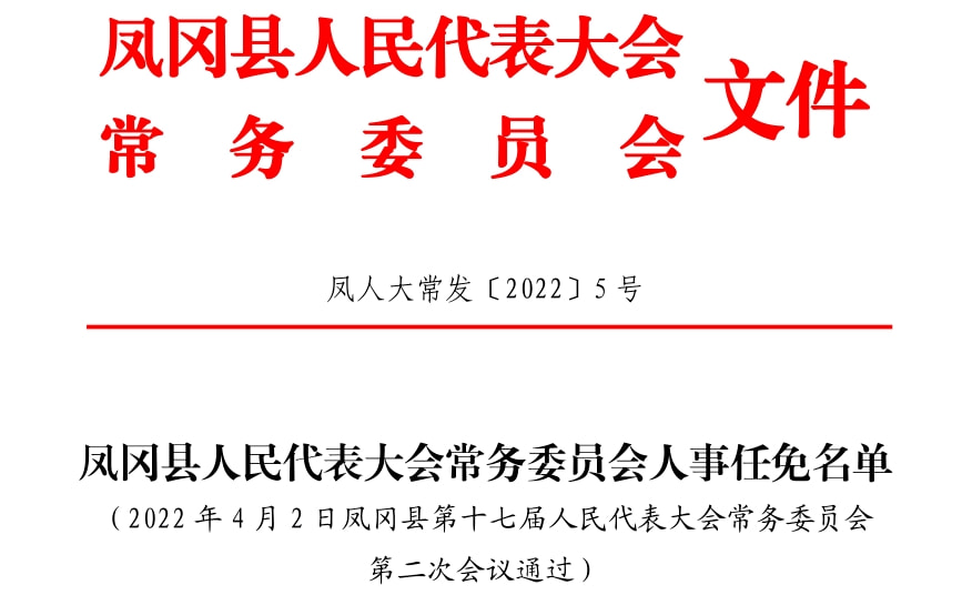 文成县人民政府办公室最新人事任命，构建高效政府管理体系的重要一步