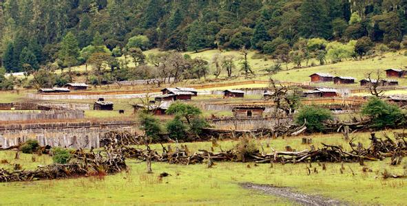 奇那嘎巴村最新天气预报信息汇总