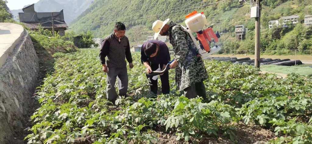 修齐镇最新招聘信息概览