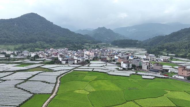 多索村最新项目，乡村振兴典范引领之路